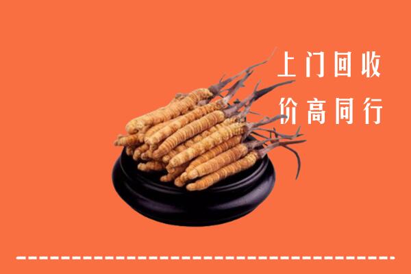 高价求购：临沧市沧源回收散虫草