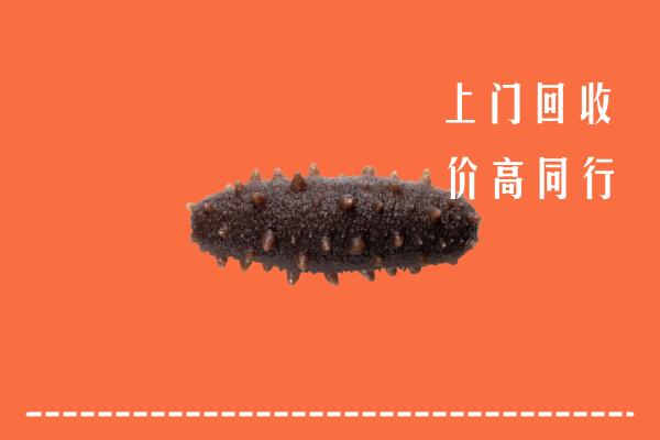 高价求购：临沧市沧源回收海参