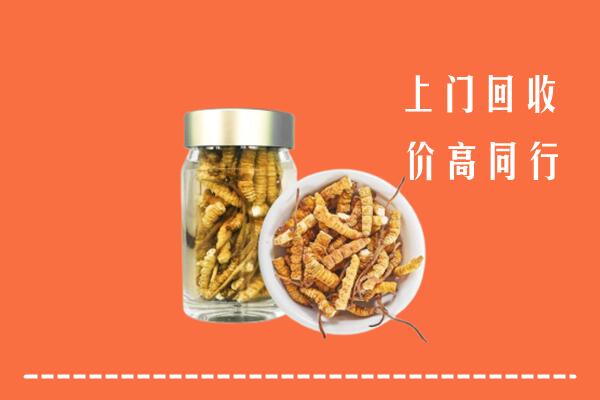 临沧市沧源回收冬虫夏草